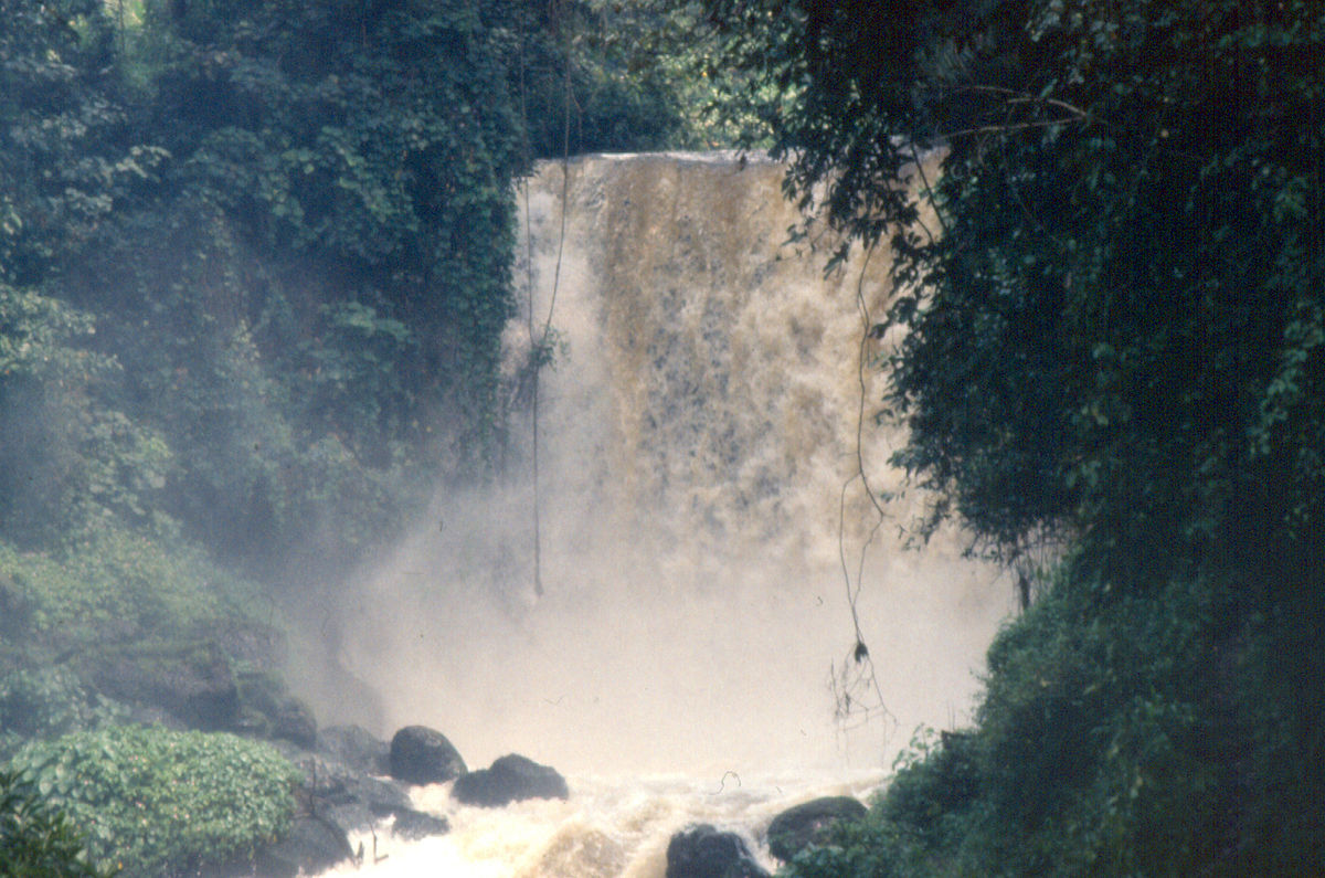 1200px Virunga4