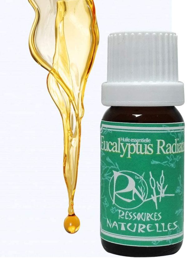 Huile essentielle d'Eucalyptus Radiata - 30ml