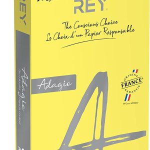 REY® ADAGIO, papier couleur jaune intense, 80g, A4, PEFC™, ramette de 500 feuilles Marque : DOHE