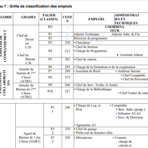 Classification des emplois en RDC