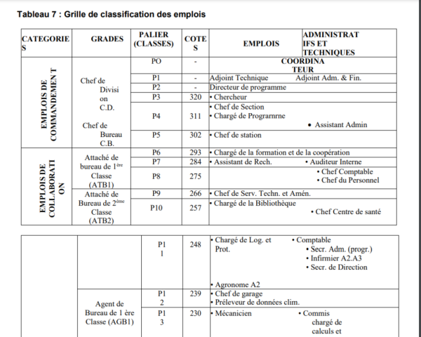 Classification des emplois en RDC